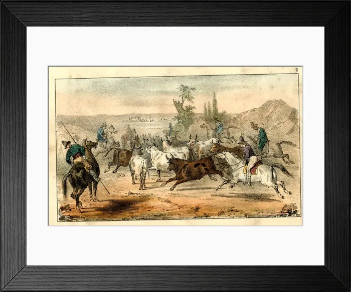 Framed Print : Spanish bullfighting - driving bulls Framed Print : Spanish bullfighting - driving bulls