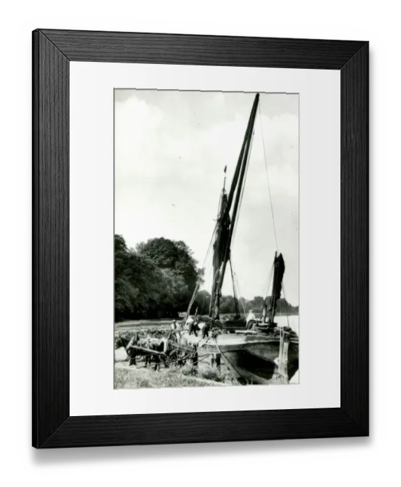Framed Print : Thames barge unloading bricks, Kingston-upon-Thames Framed Print : Thames barge unloading bricks, Kingston-upon-Thames