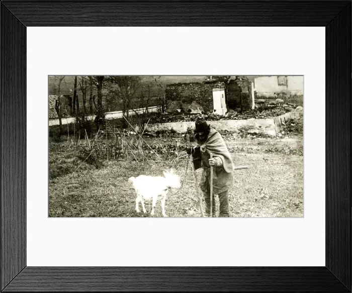 Framed Print : Evacuated French peasant returns home, WW1 Framed Print : Evacuated French peasant returns home, WW1