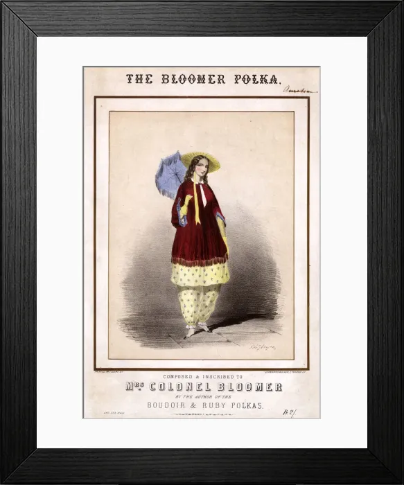 Framed Print : The Bloomer Polka Framed Print : The Bloomer Polka