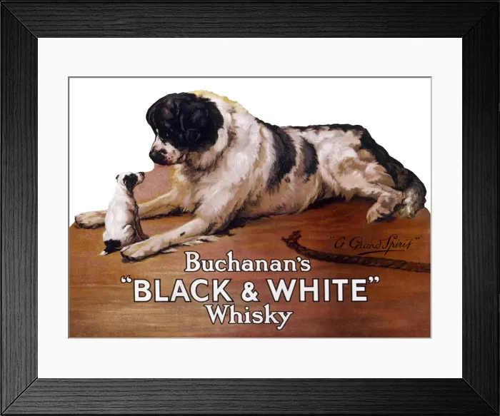 Framed Print : Saint Bernard dog with puppy, Buchanans Whisky Framed Print : Saint Bernard dog with puppy, Buchanans Whisky