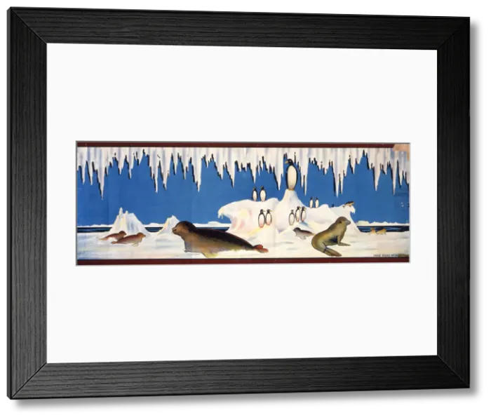 Framed Print : Antarctic seals and penguins with snow and ice Framed Print : Antarctic seals and penguins with snow and ice