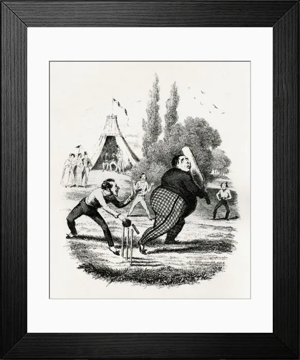 Framed Print : Illustration, Bowled out Framed Print : Illustration, Bowled out
