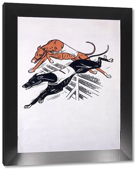 Poster, greyhound racing