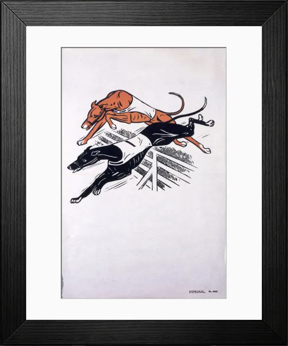 Framed Print : Poster, greyhound racing Framed Print : Poster, greyhound racing