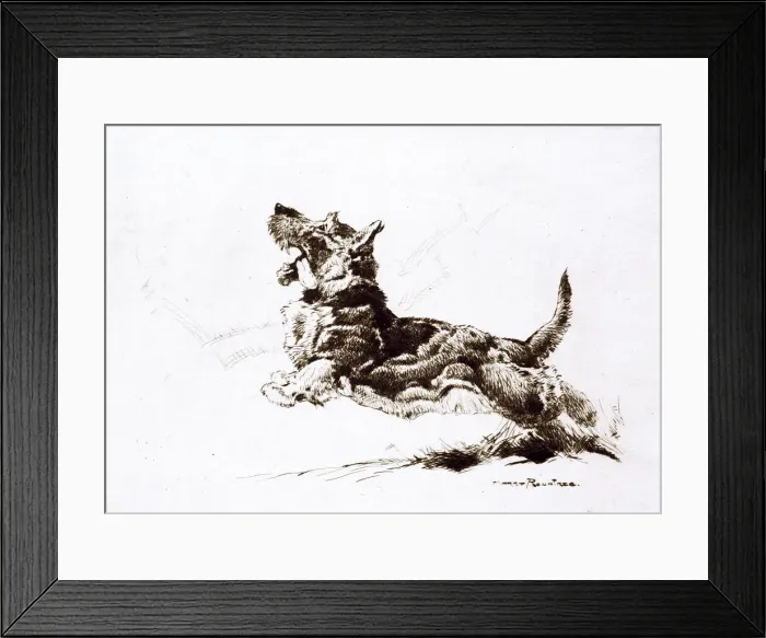 Framed Print : Scottie, Scottish Terrier, by Harry Rountree Framed Print : Scottie, Scottish Terrier, by Harry Rountree