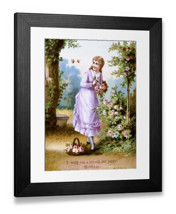 Framed Print : Victorian silk birthday card, Girl picking Roses Framed Print : Victorian silk birthday card, Girl picking Roses