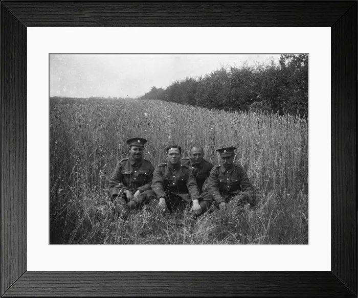 Framed Print : (insert) Framed Print : (insert)