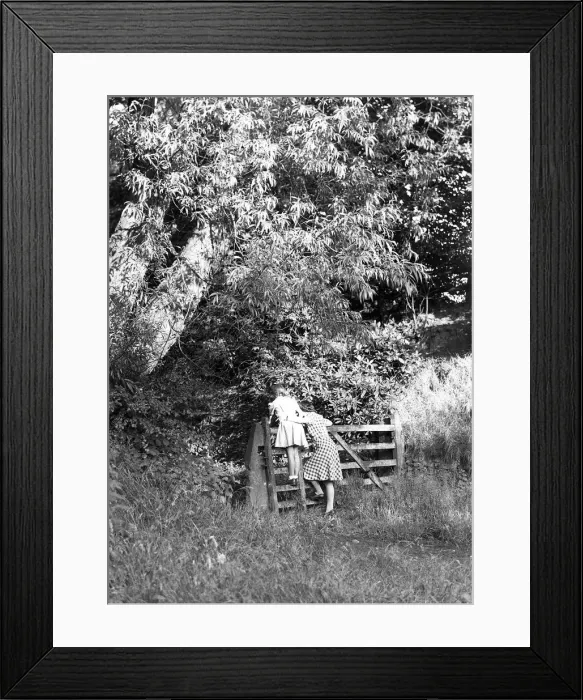 Framed Print : (insert) Framed Print : (insert)