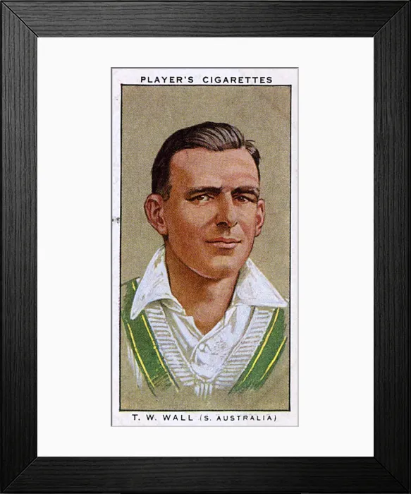 Framed Print : T W Wall, Australian cricketer, South Australia Framed Print : T W Wall, Australian cricketer, South Australia