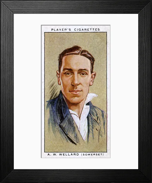 Framed Print : A W Wellard, Somerset County cricketer Framed Print : A W Wellard, Somerset County cricketer