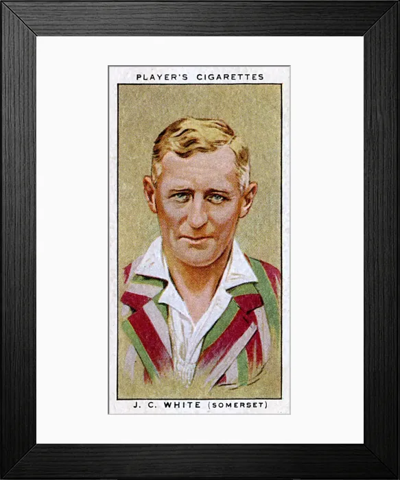 Framed Print : J C White, Somerset County and England cricketer Framed Print : J C White, Somerset County and England cricketer