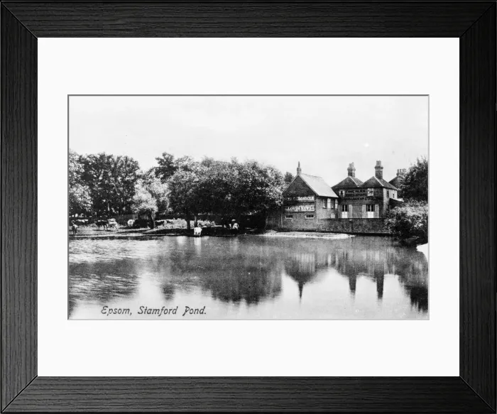 Framed Print : Stamford Pond, Epsom, Surrey Framed Print : Stamford Pond, Epsom, Surrey