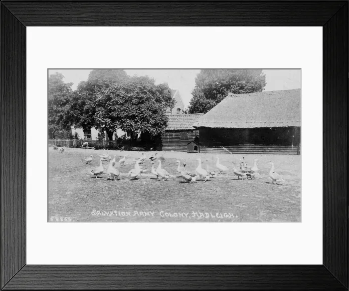 Framed Print : Salvation Army Colony, Hadleigh, Essex Framed Print : Salvation Army Colony, Hadleigh, Essex