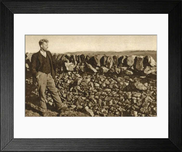 Framed Print : The Dry Stane Dykes of Galloway, Scotland Framed Print : The Dry Stane Dykes of Galloway, Scotland