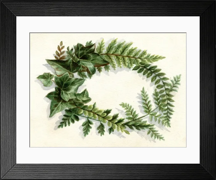 Framed Print : Artwork by Florence Auerbach, spray of green leaves Framed Print : Artwork by Florence Auerbach, spray of green leaves