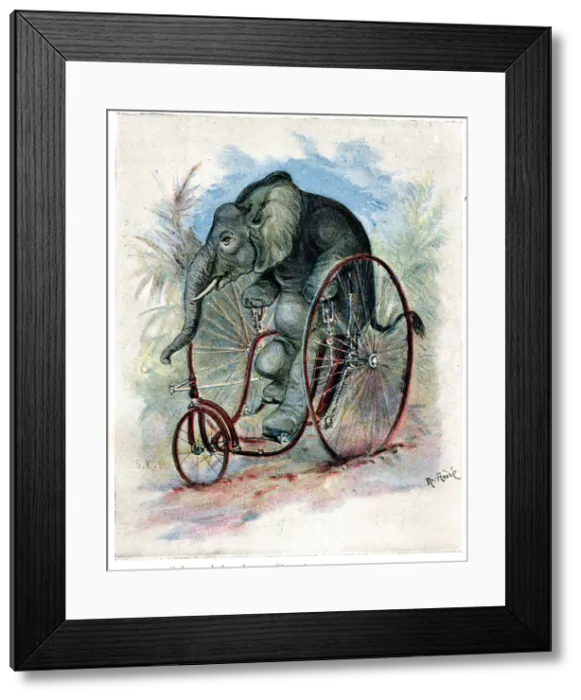 Framed Print : Zoo Animals Up To Date on Cycles - Elephant on Velocipede Framed Print : Zoo Animals Up To Date on Cycles - Elephant on Velocipede