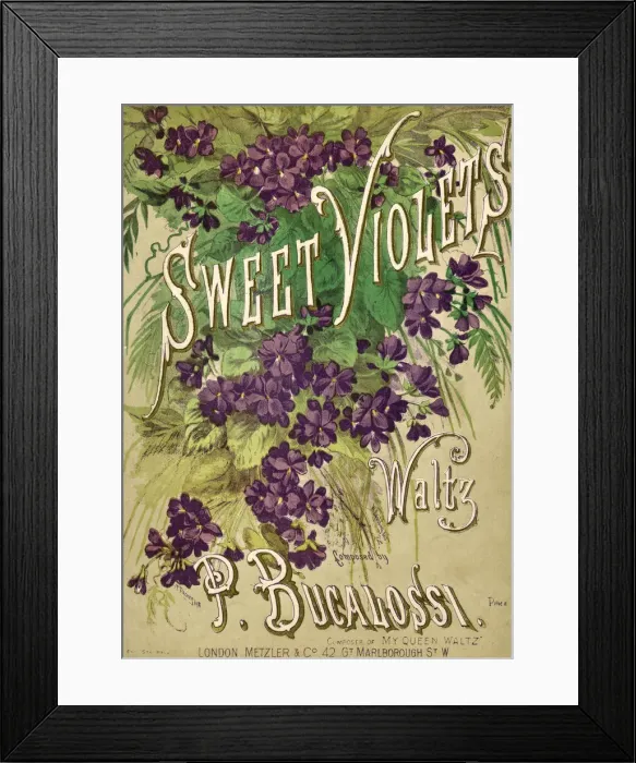 Framed Print : Music cover, Sweet Violets Waltz, by P Bucalossi Framed Print : Music cover, Sweet Violets Waltz, by P Bucalossi