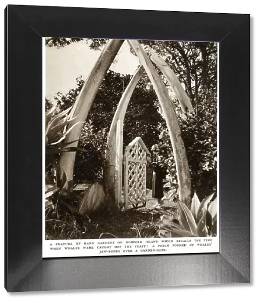 Norfolk Island garden with whale bones, 1939