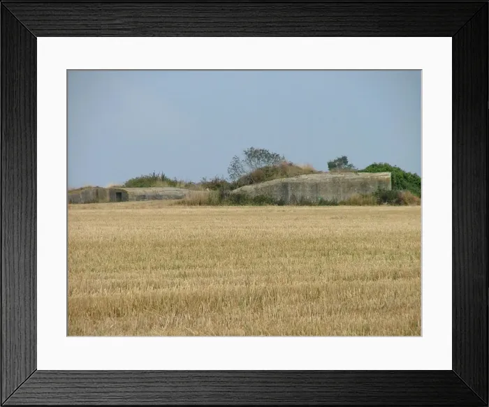 Framed Print : Luftwaffe Radar Station Bunkers Douvres Normandy Framed Print : Luftwaffe Radar Station Bunkers Douvres Normandy
