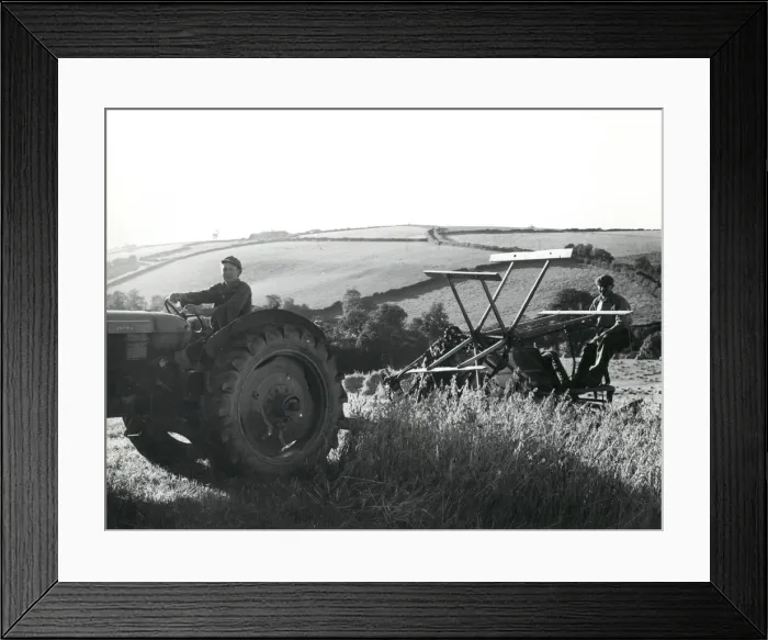 Framed Print : Men using a reaping machine at harvest time, Cornwall Framed Print : Men using a reaping machine at harvest time, Cornwall