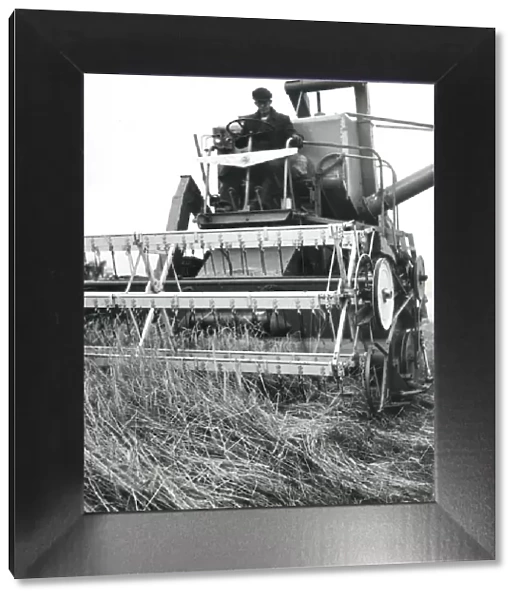 Man operating a combine harvester, Cornwall