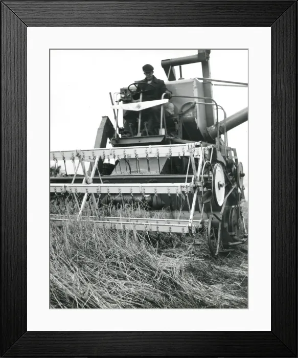 Framed Print : Man operating a combine harvester, Cornwall Framed Print : Man operating a combine harvester, Cornwall