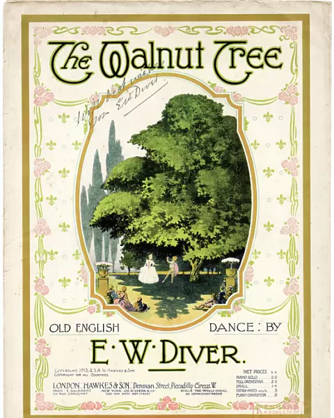 Music cover, The Walnut Tree, by E W Diver