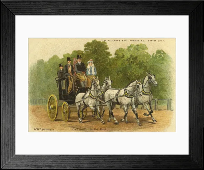 Framed Print : Four-in-hand Framed Print : Four-in-hand