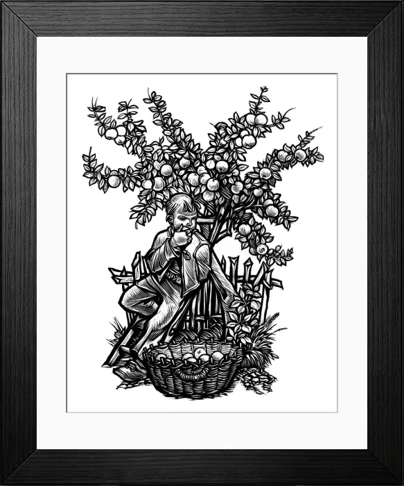 Framed Print : Oranges. Woodcut of boy beside orange tree Framed Print : Oranges. Woodcut of boy beside orange tree