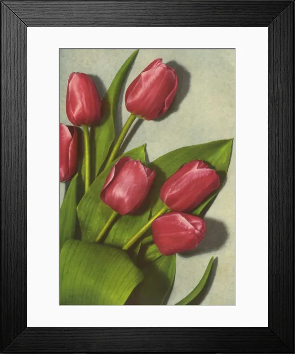 Framed Print : Tulips. Bouquet of red tulips Framed Print : Tulips. Bouquet of red tulips