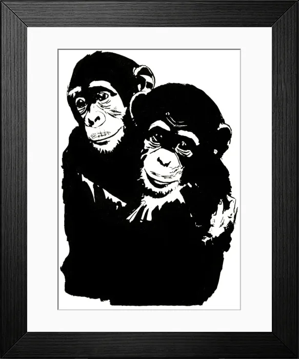 Framed Print : Chimpanzees Framed Print : Chimpanzees