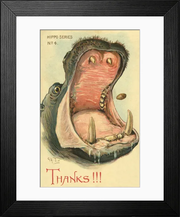 Framed Print : Hippo. Thanks!!! Illustrated comic postcard of a hippo catching a bun