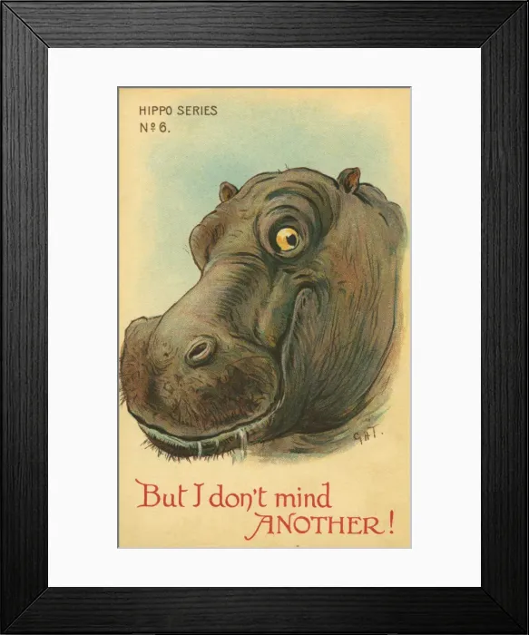 Framed Print : Hippo. But I don t mind another! Illustrated comic postcard of a happy hippo Framed Print : Hippo. But I don t mind another! Illustrated comic postcard of a happy hippo
