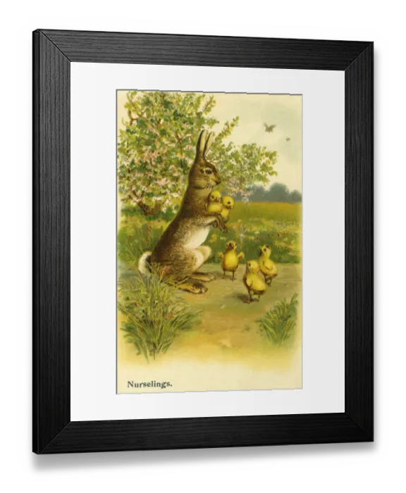 Framed Print : Edwardian humour Framed Print : Edwardian humour