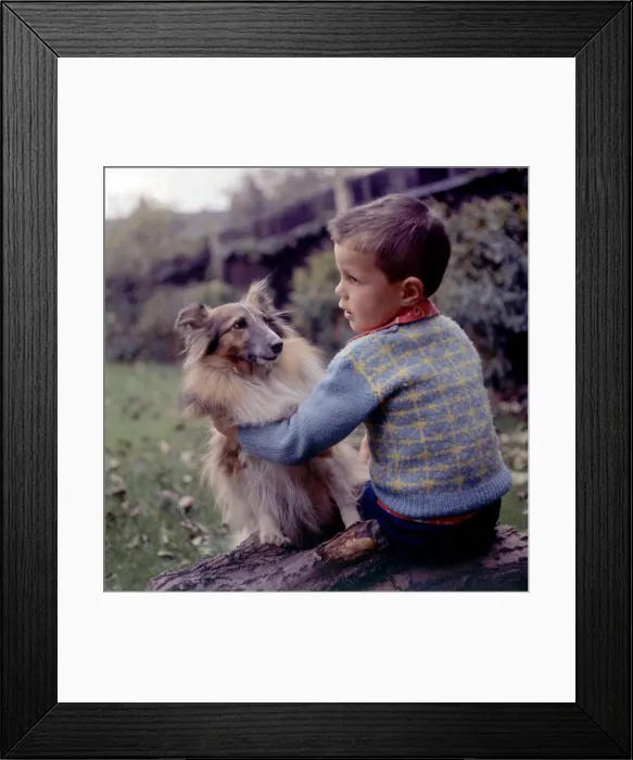 Framed Print : (insert) Framed Print : (insert)