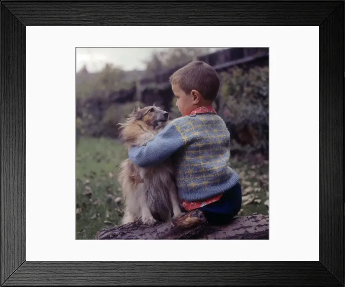 Framed Print : (insert) Framed Print : (insert)