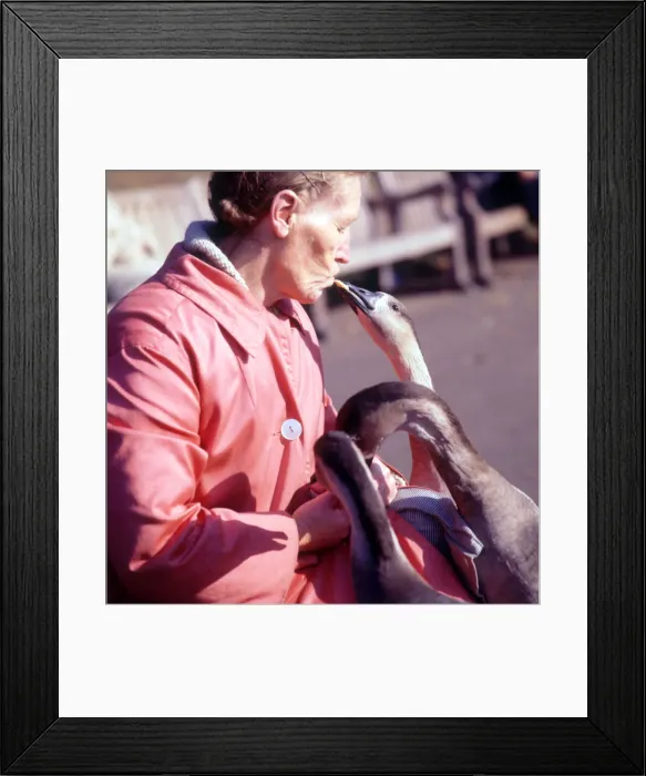 Framed Print : (insert) Framed Print : (insert)