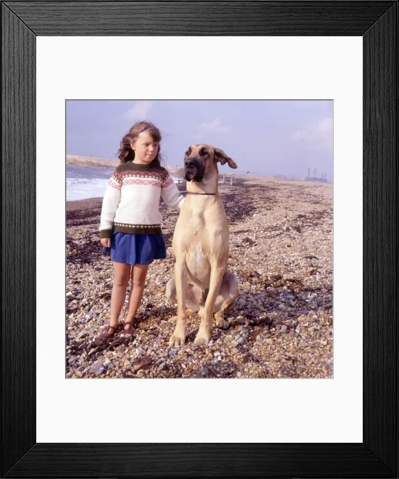 Framed Print : (insert) Framed Print : (insert)