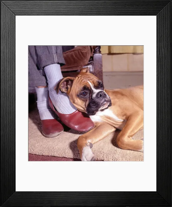 Framed Print : (insert) Framed Print : (insert)