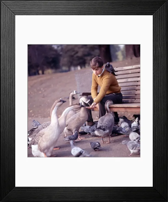 Framed Print : (insert) Framed Print : (insert)