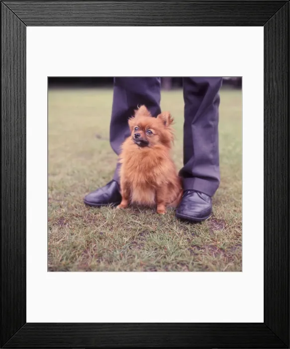 Framed Print : (insert) Framed Print : (insert)