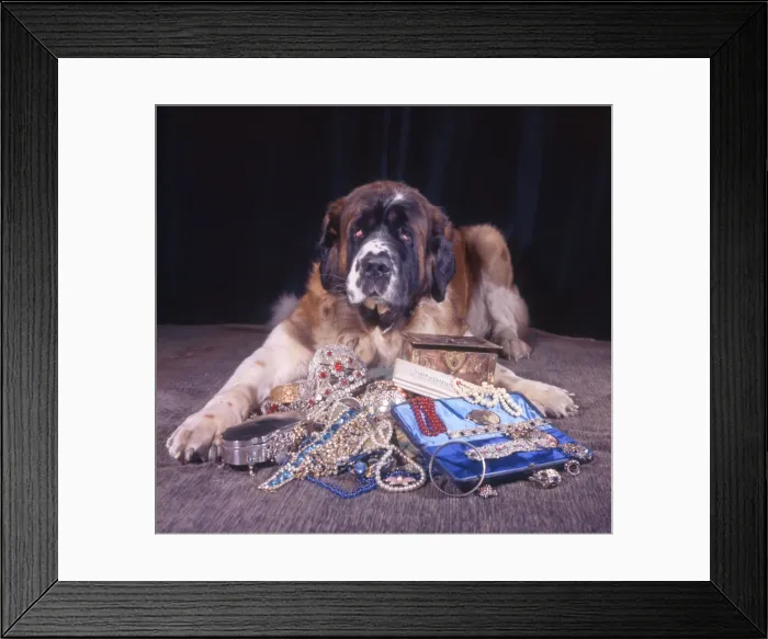 Framed Print : (insert) Framed Print : (insert)
