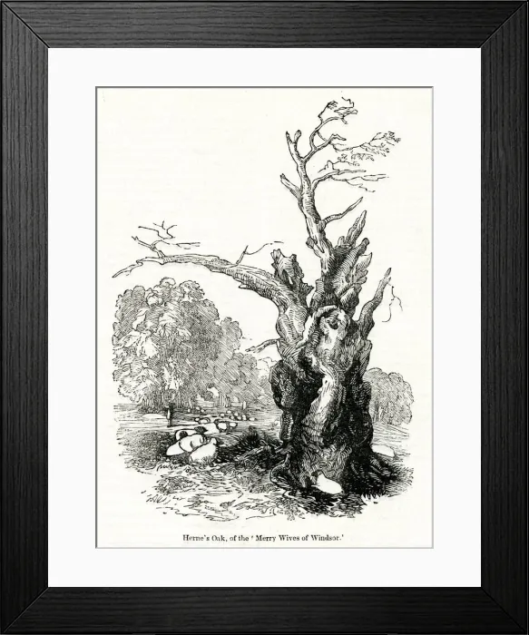 Framed Print : Hernes Oak, Windsor Great Park, Berkshire