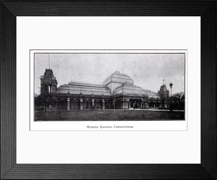 Framed Print : Winter Garden, Cheltenham, Gloucestershire Framed Print : Winter Garden, Cheltenham, Gloucestershire