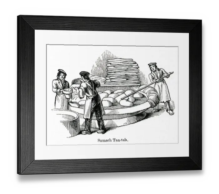 Framed Print : Sumach tan tub at a leather factory, south London Framed Print : Sumach tan tub at a leather factory, south London