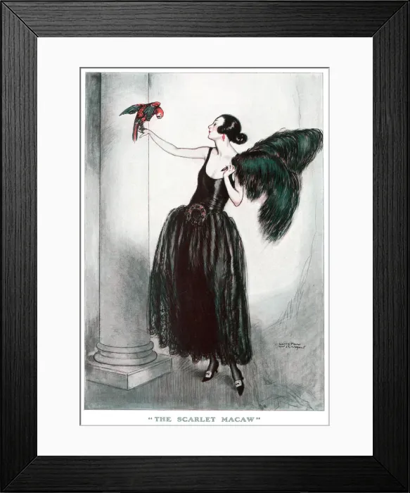 Framed Print : The Scarlet Macaw by Wilton Williams Framed Print : The Scarlet Macaw by Wilton Williams