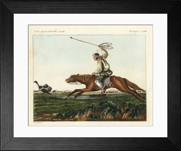 Framed Print : Native American gaucho on horseback using Framed Print : Native American gaucho on horseback using