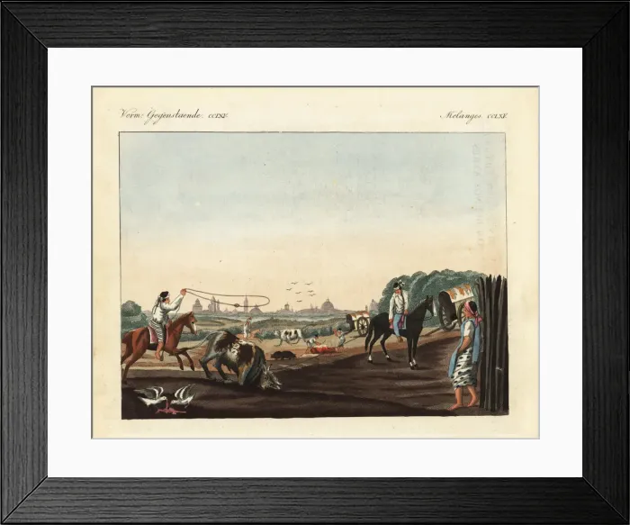 Framed Print : Gauchos butchering cattle at a slaughterhouse Framed Print : Gauchos butchering cattle at a slaughterhouse