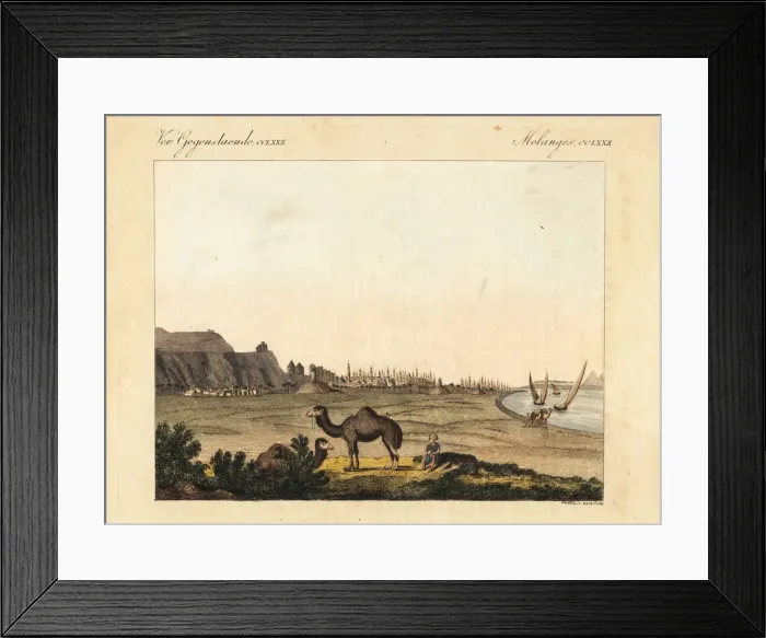 Framed Print : View of the city of Cairo, Egypt, with its Framed Print : View of the city of Cairo, Egypt, with its